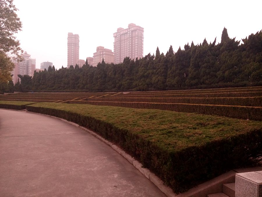 点击在新窗口查看原始图片