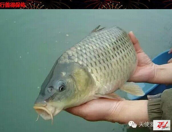 点击在新窗口查看原始图片
