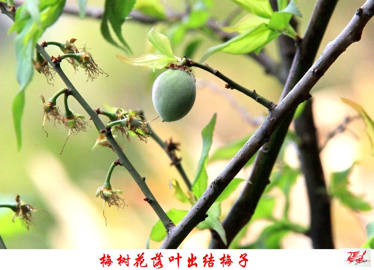 点击在新窗口查看原始图片