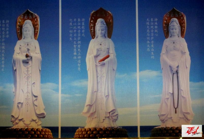 点击在新窗口查看原始图片