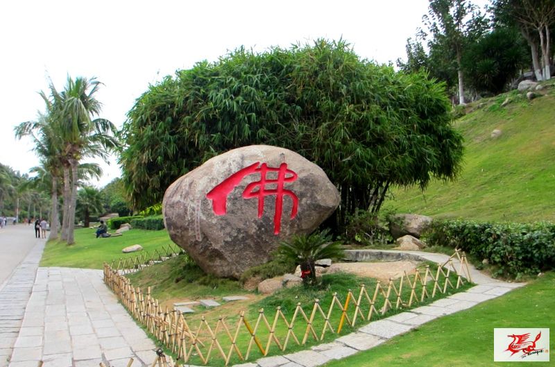 点击在新窗口查看原始图片