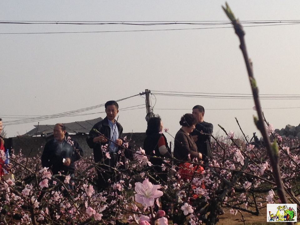 点击在新窗口查看原始图片