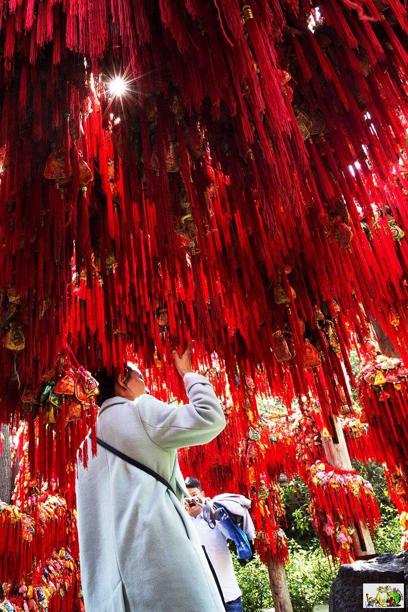 点击在新窗口查看原始图片