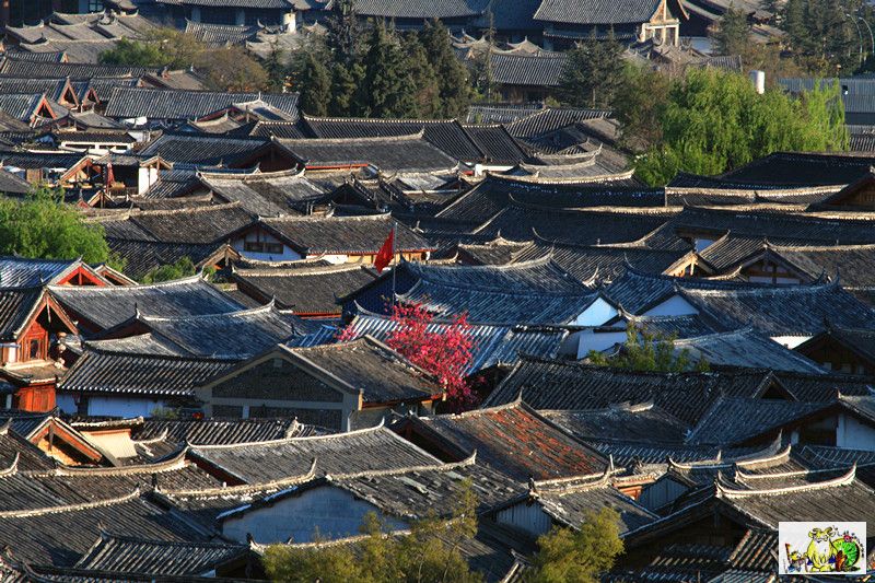 点击在新窗口查看原始图片