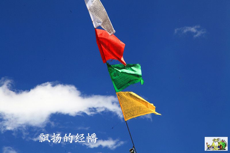 点击在新窗口查看原始图片