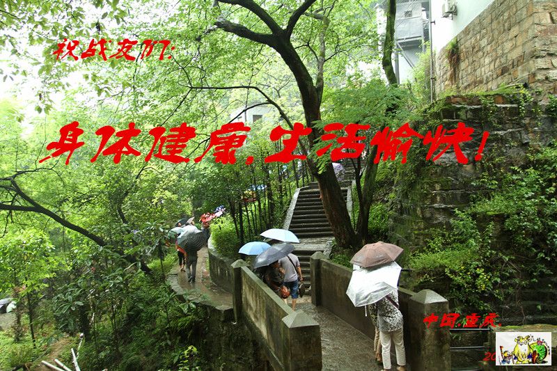 点击在新窗口查看原始图片