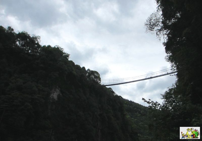 点击在新窗口查看原始图片