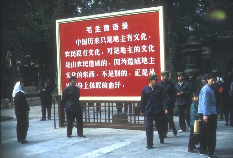 点击在新窗口查看原始图片