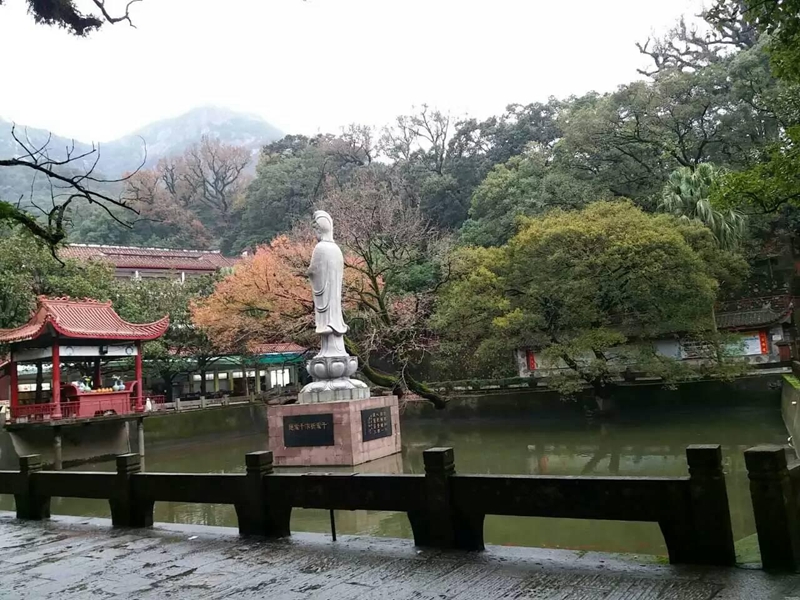 点击在新窗口查看原始图片