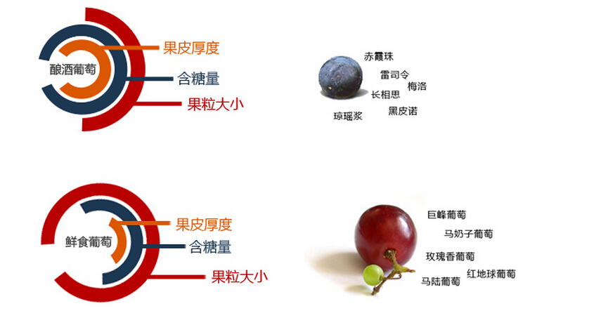 点击在新窗口查看原始图片