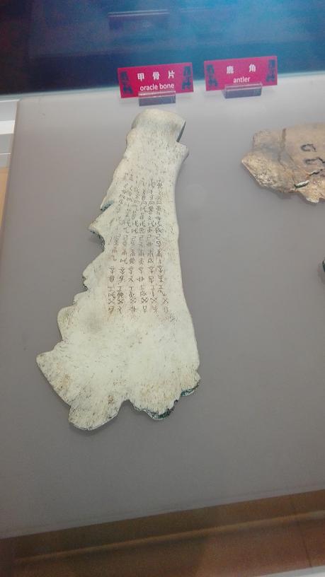 点击在新窗口查看原始图片