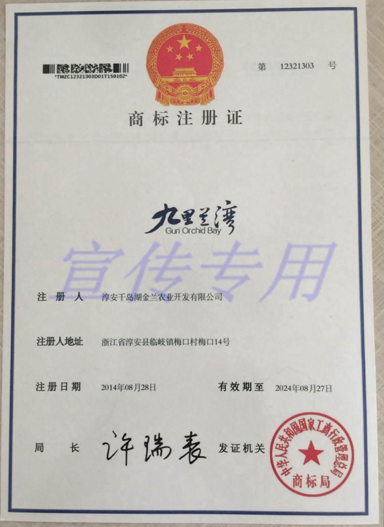 点击在新窗口查看原始图片
