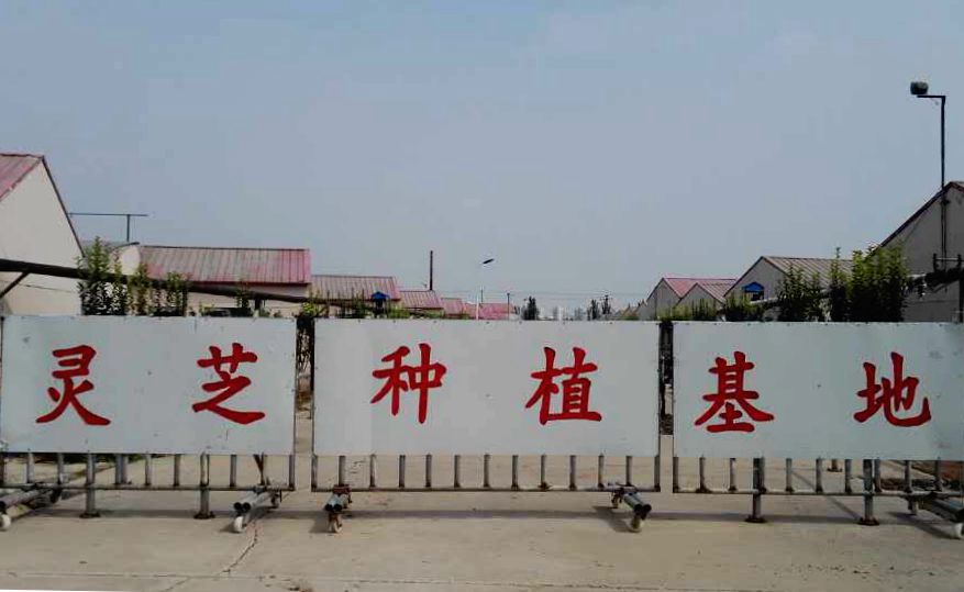 点击在新窗口查看原始图片