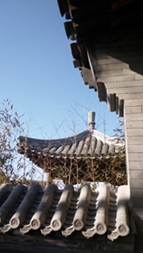 点击在新窗口查看原始图片