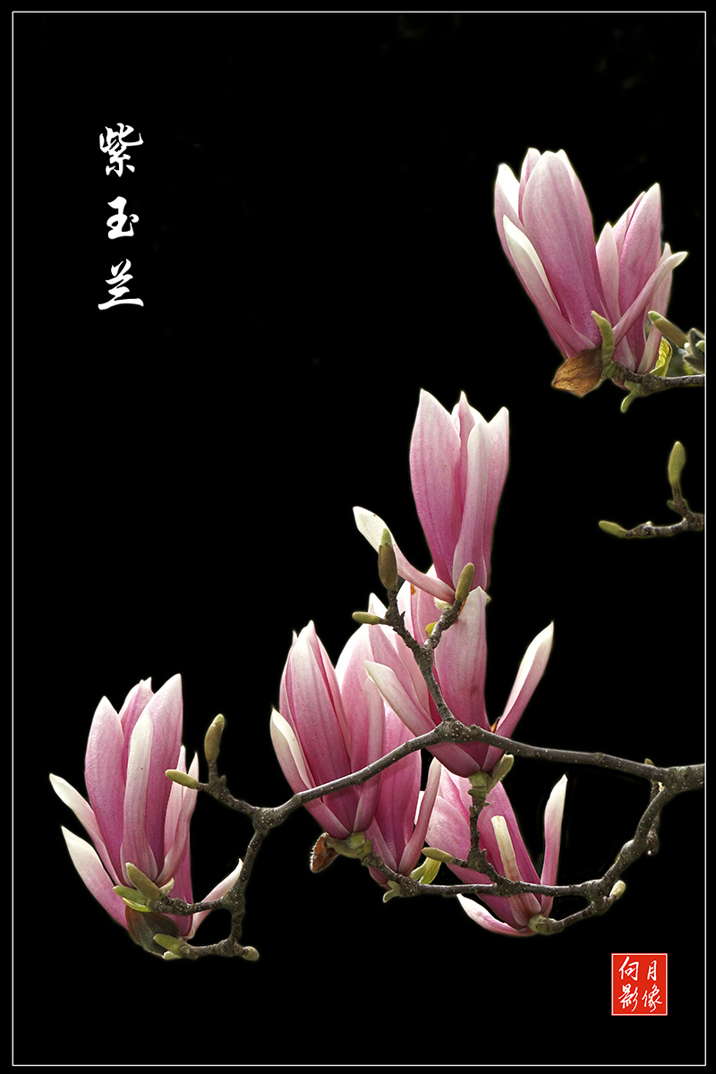 点击在新窗口查看原始图片