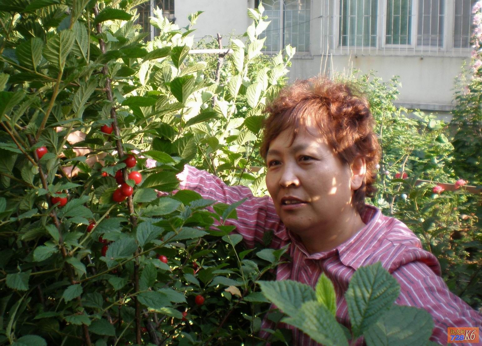 点击在新窗口查看原始图片