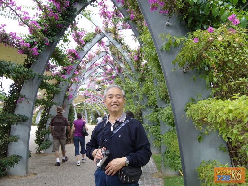 点击在新窗口查看原始图片