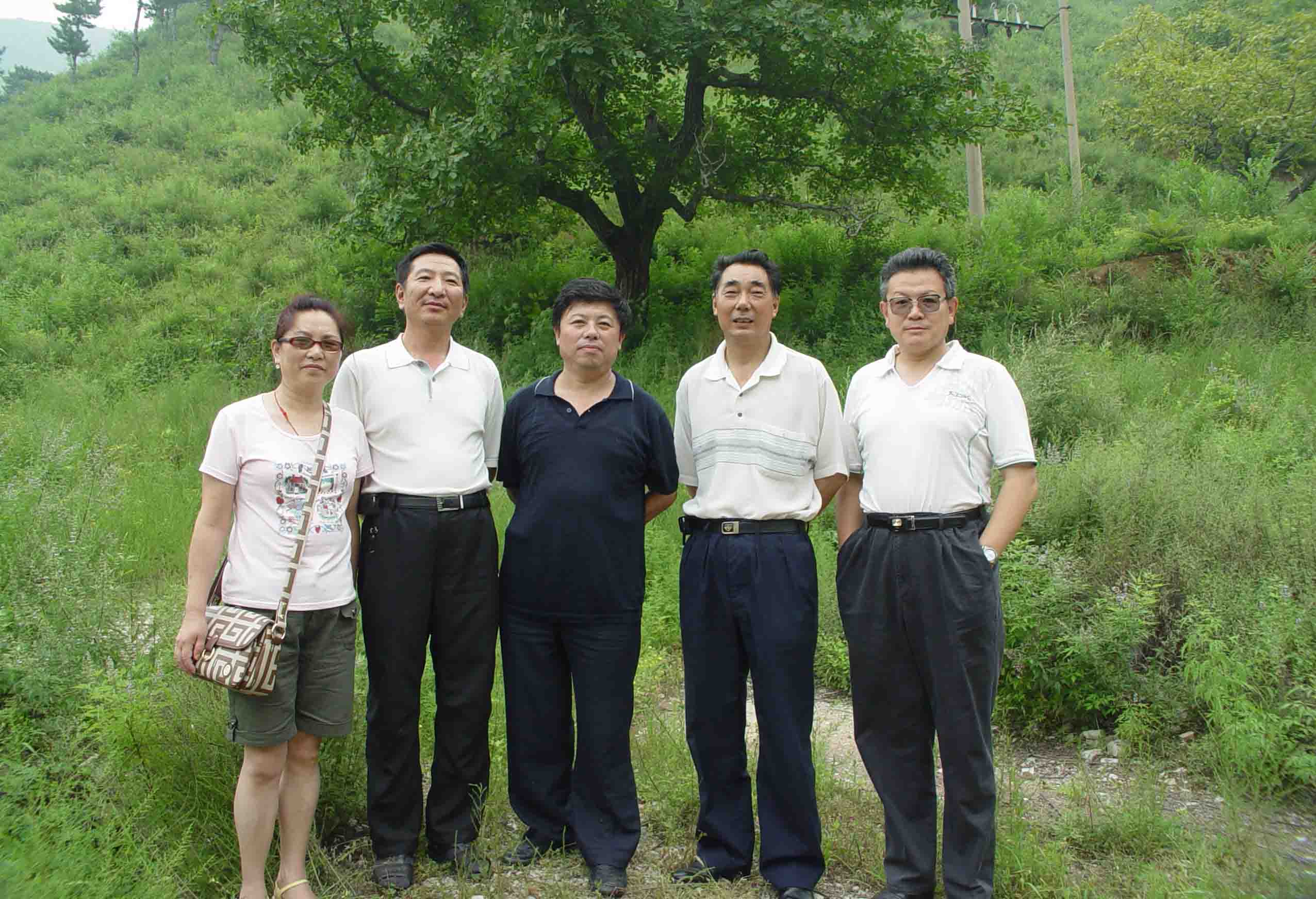点击在新窗口查看原始图片