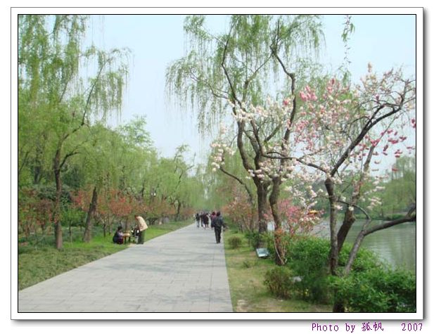 点击在新窗口查看原始图片
