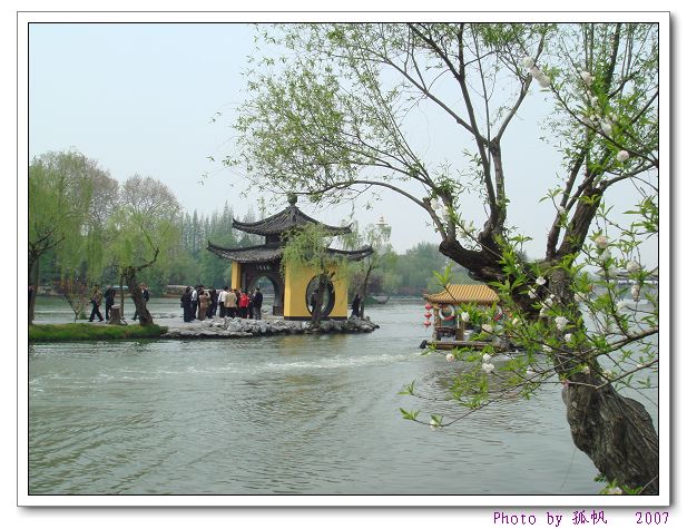 点击在新窗口查看原始图片