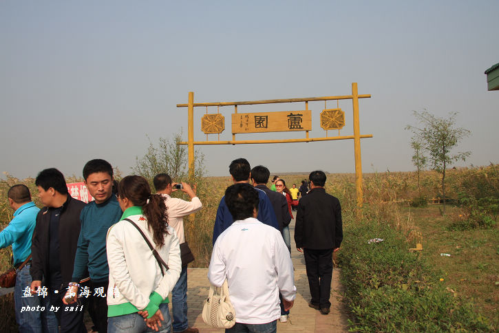 点击在新窗口查看原始图片