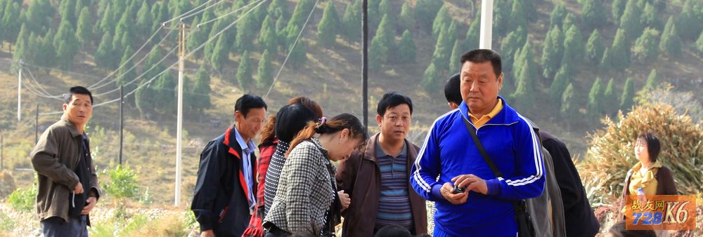 点击在新窗口查看原始图片