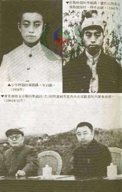 点击在新窗口查看原始图片