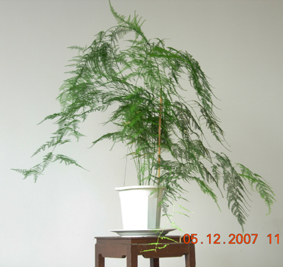 点击在新窗口查看原始图片
