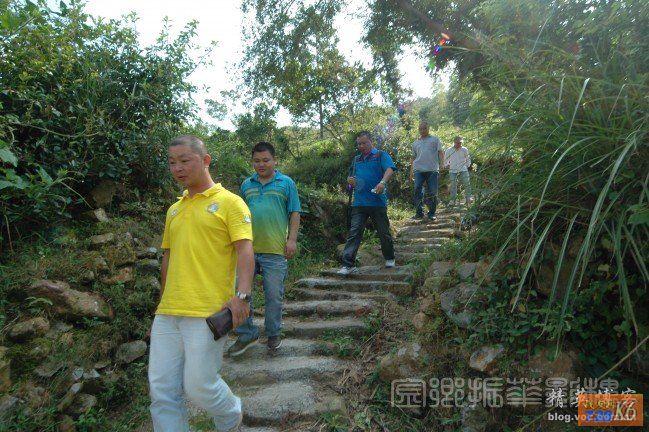 点击在新窗口查看原始图片