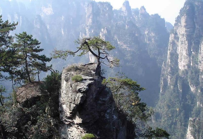点击在新窗口查看原始图片
