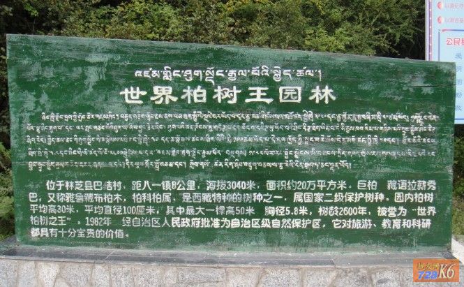 点击在新窗口查看原始图片