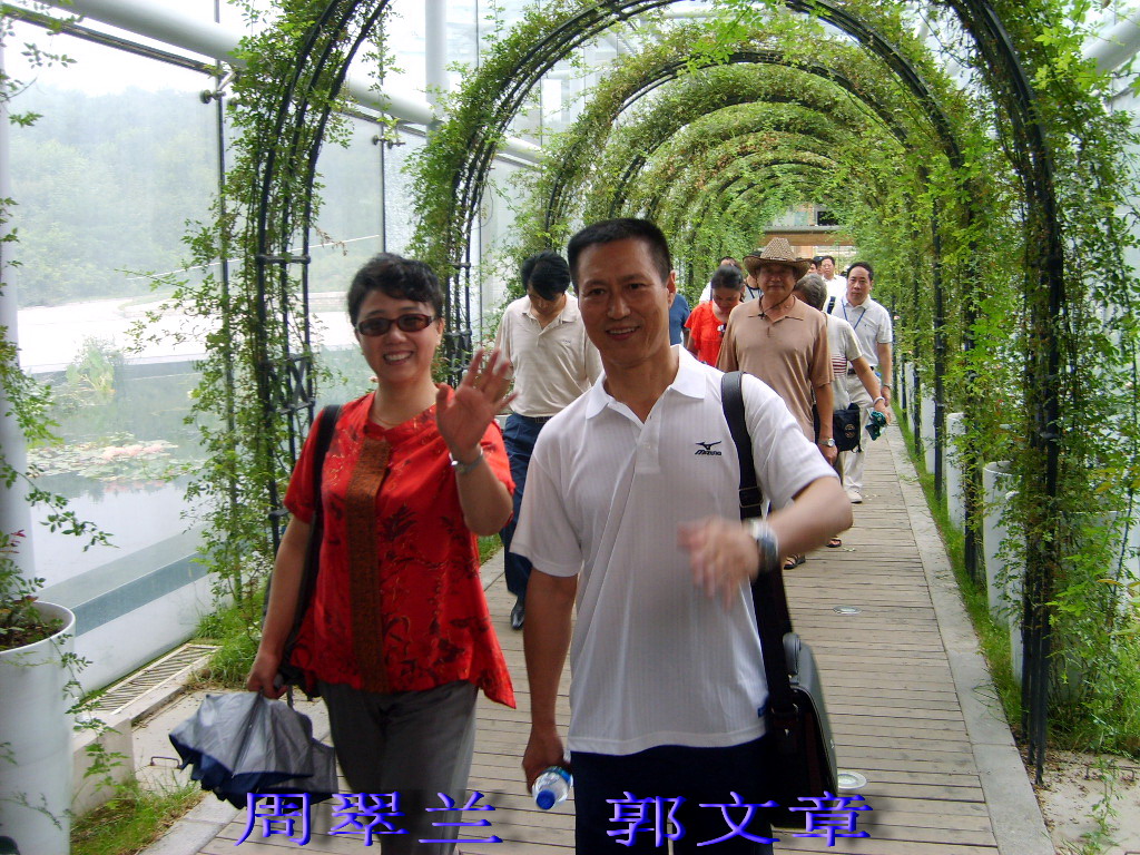 点击在新窗口查看原始图片