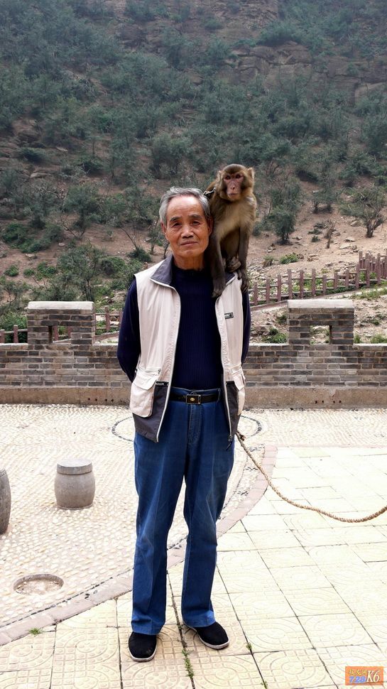 点击在新窗口查看原始图片