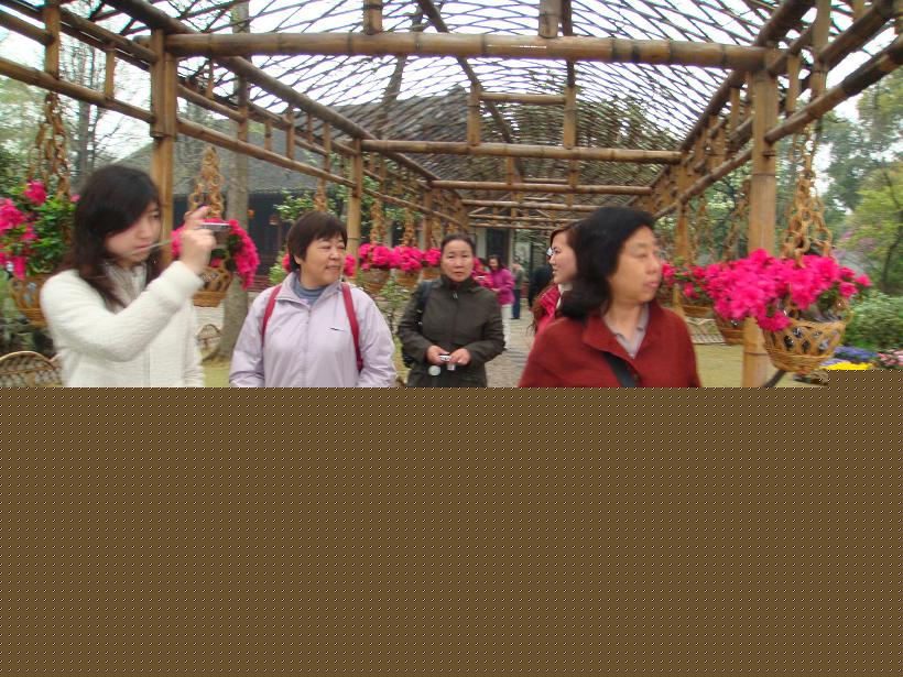 点击在新窗口查看原始图片