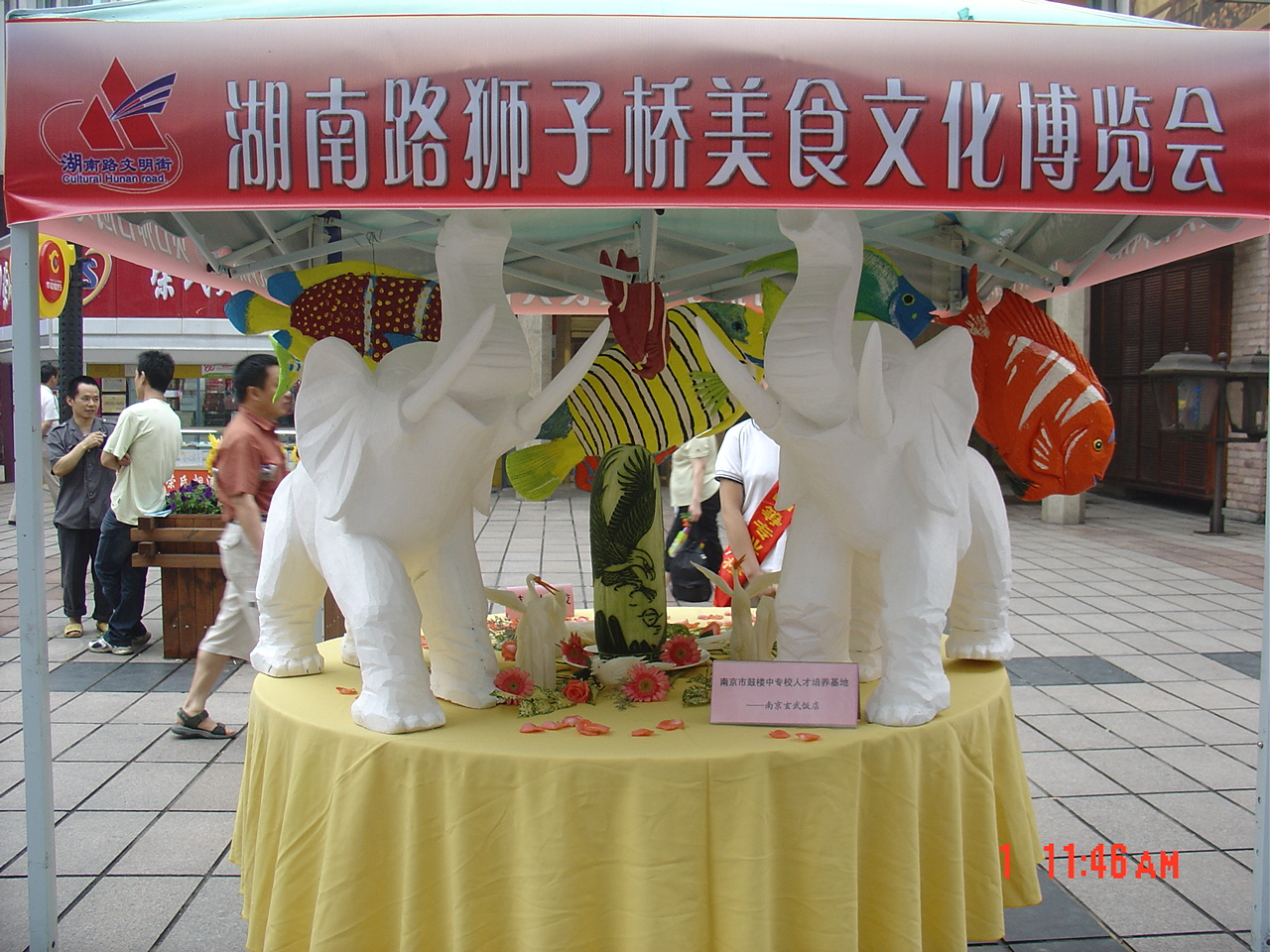 点击在新窗口查看原始图片